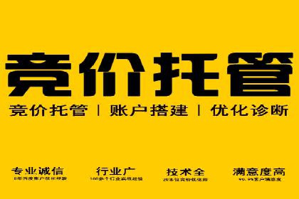 SEM代运营案例：企业增长动力源泉